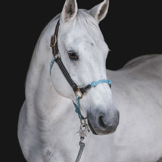 Hybrid Headcollar® Leather