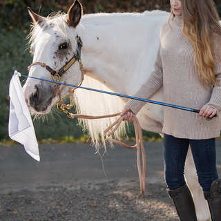 Horse Training Sticks Whips and Flags