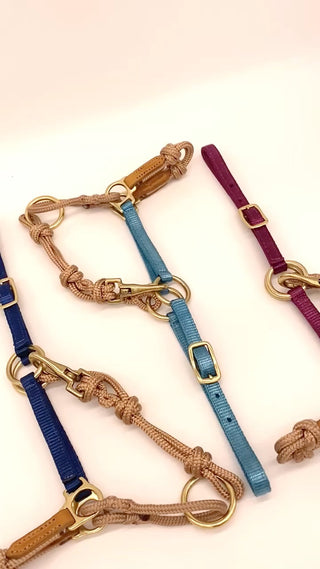 Mini Horse Halters in Nylon