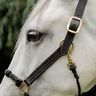 Hybrid Headcollar® Leather