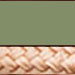 Cactus/Copper