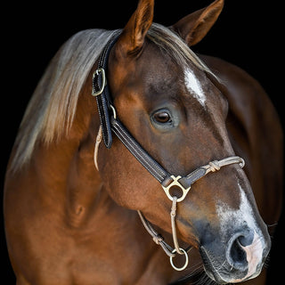 Hybrid Headcollar® Leather