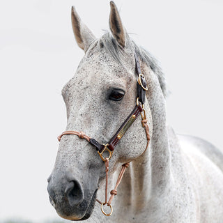 Hybrid Headcollar® Leather