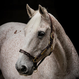 TROI Leather Halter - Twist Nose