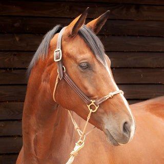 Hybrid Headcollar® Leather