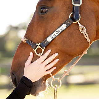 Engraved Headcollar Nameplates
