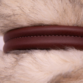 Soft Padded Leather Dog Collar