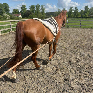 22' Foal Handling Line/ Soft Driving Lines