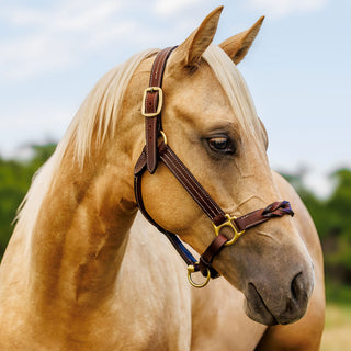 TROI Leather Halter - Twist Nose