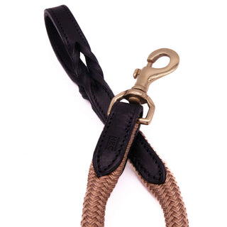 TROI Dog Leash - 4'