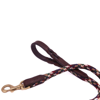 TROI Dog Leash - 4'