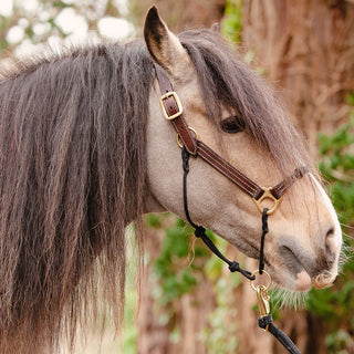 Hybrid Headcollar® Leather