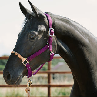 Hybrid Headcollar "Lite"