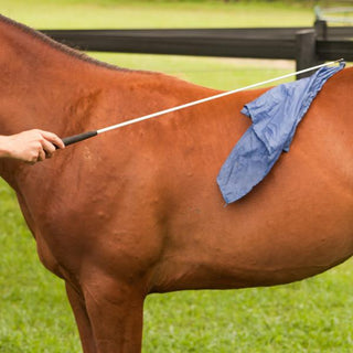 horsemanship flag