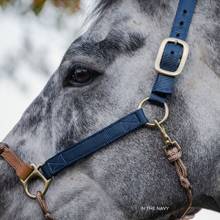 Hybrid Classic Nylon Halter