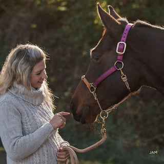 Hybrid Classic Nylon Halter