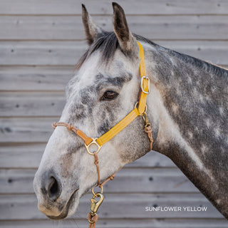 Synthetic Leather Hybrid Halter